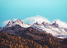 世界杯-穿针引线创造华丽进攻 小加融入湖人彰显恐怖威力