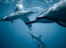 世界杯-安东尼：用一年时间走出低谷 为年轻球员树立榜样